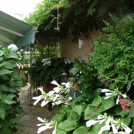 Le Pouy Bed and Breakfast Termes-d'Armagnac Exteriör bild
