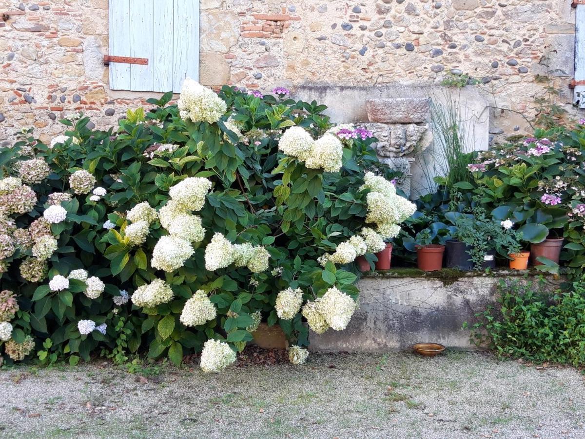 Le Pouy Bed and Breakfast Termes-d'Armagnac Exteriör bild