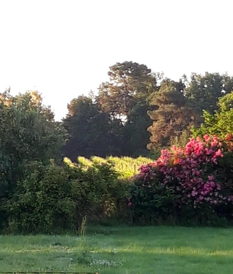 Le Pouy Bed and Breakfast Termes-d'Armagnac Exteriör bild
